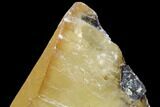Twinned Calcite Crystal With Sphalerite - Elmwood Mine #103956-3